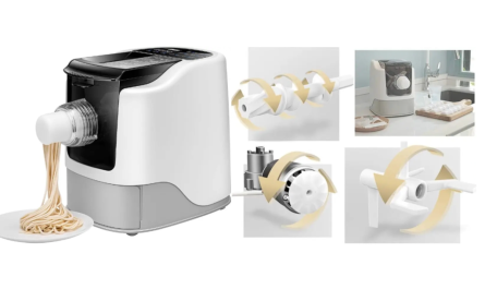 BUI Automatic Fresh Noodles Dumpling Maker Review 2025 – Best Compact Pasta Machine in India